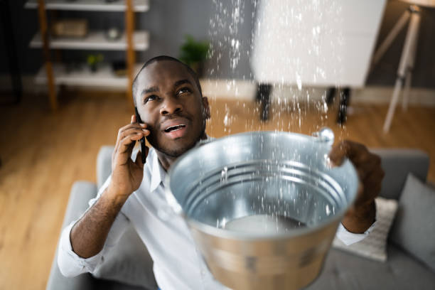 Best Fire Damage Restoration  in Clearview, WA