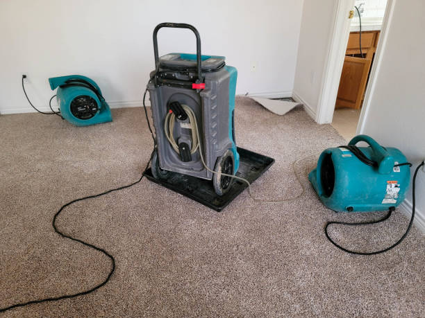 Carpet water damage restoration in Clearview, WA