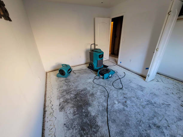 Best Local water damage restoration  in Clearview, WA