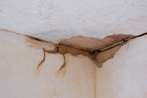 Best Water damage cleanup near me  in Clearview, WA