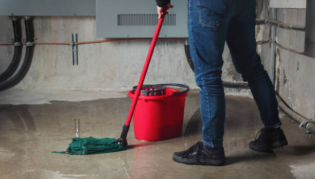 Best Flood restoration services  in Clearview, WA