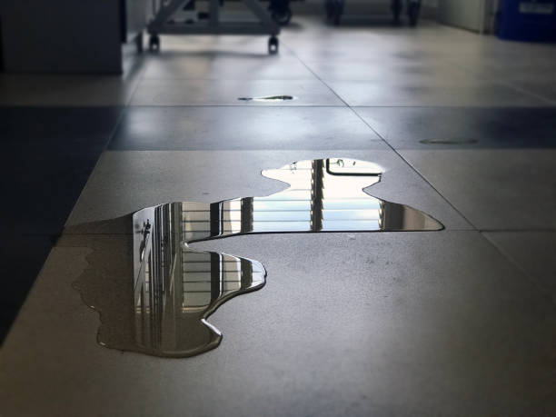 Best Water damage restoration near me  in Clearview, WA