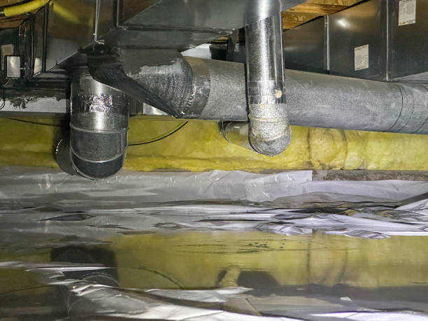 Best Basement water damage restoration  in Clearview, WA